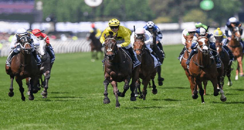 Melbourne Cup 2025 Results: Winner, Placings, and Complete Finishing Order from Flemington Race