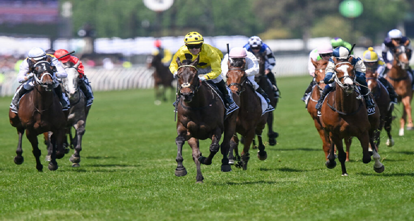 Melbourne Cup 2025 Results: Winner, Placings, and Complete Finishing Order from Flemington Race