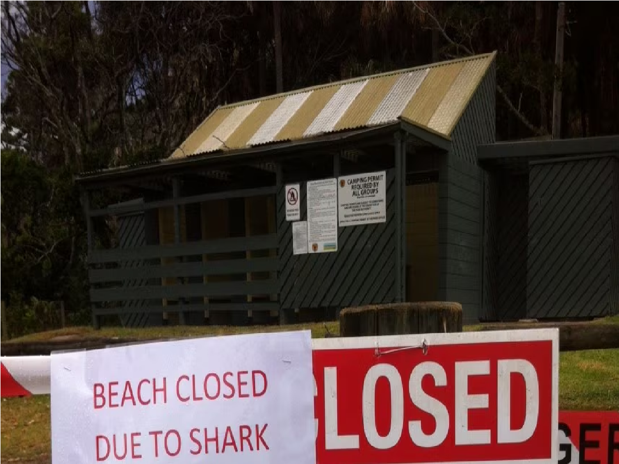 After four shark incidents in two days, New South Wales officials advise swimmers to avoid the ocean and opt for pools instead.